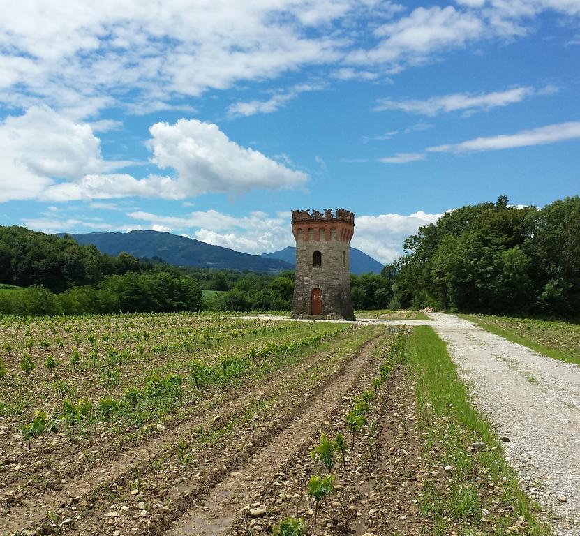 منزل الضيف Trichiana  في Agriturismo Casteldardo المظهر الخارجي الصورة
