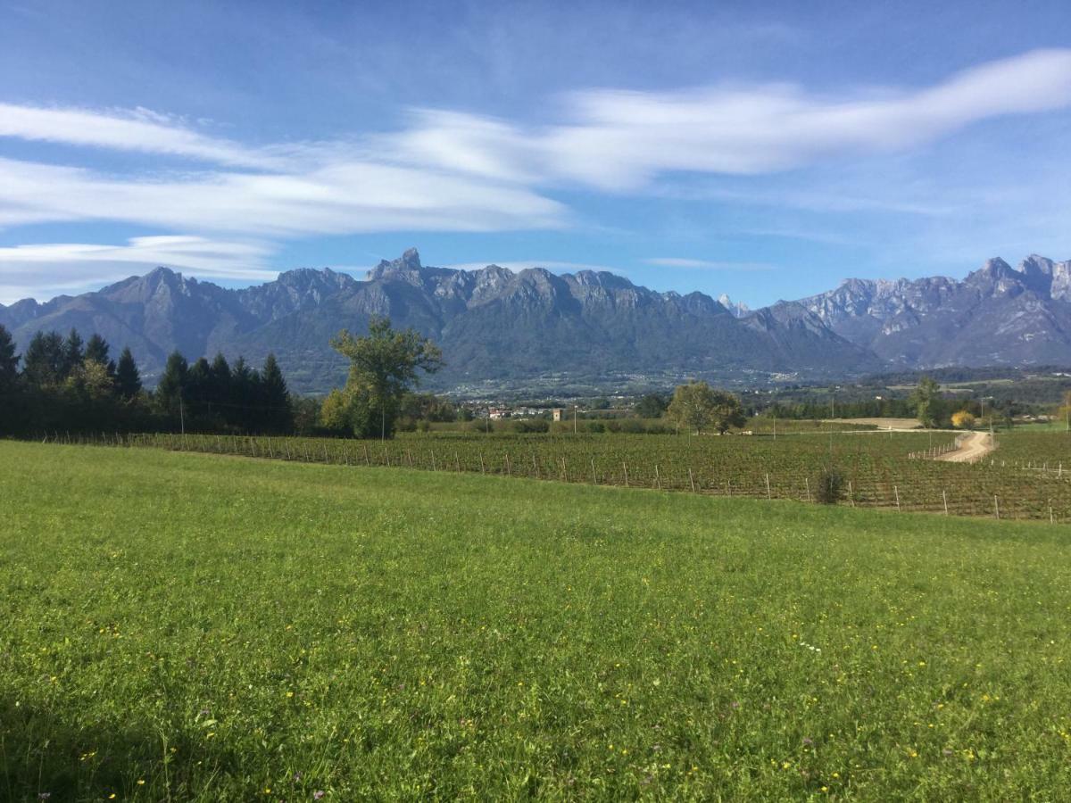 منزل الضيف Trichiana  في Agriturismo Casteldardo المظهر الخارجي الصورة
